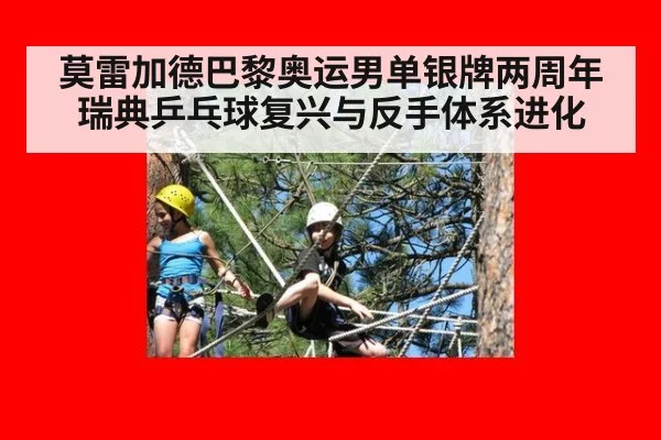 莫雷加德巴黎奥运男单银牌两周年 瑞典乒乓球复兴与反手体系进化